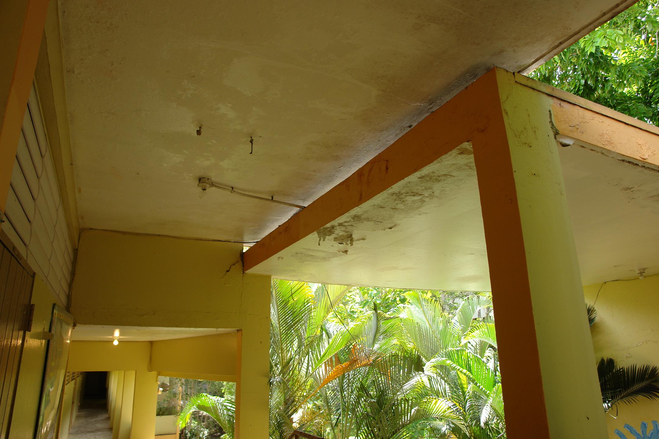 FDII - Aibonito - 2010 00081